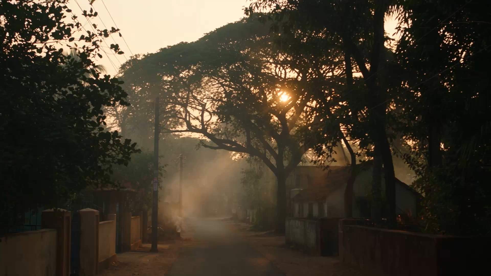 Case Study Video