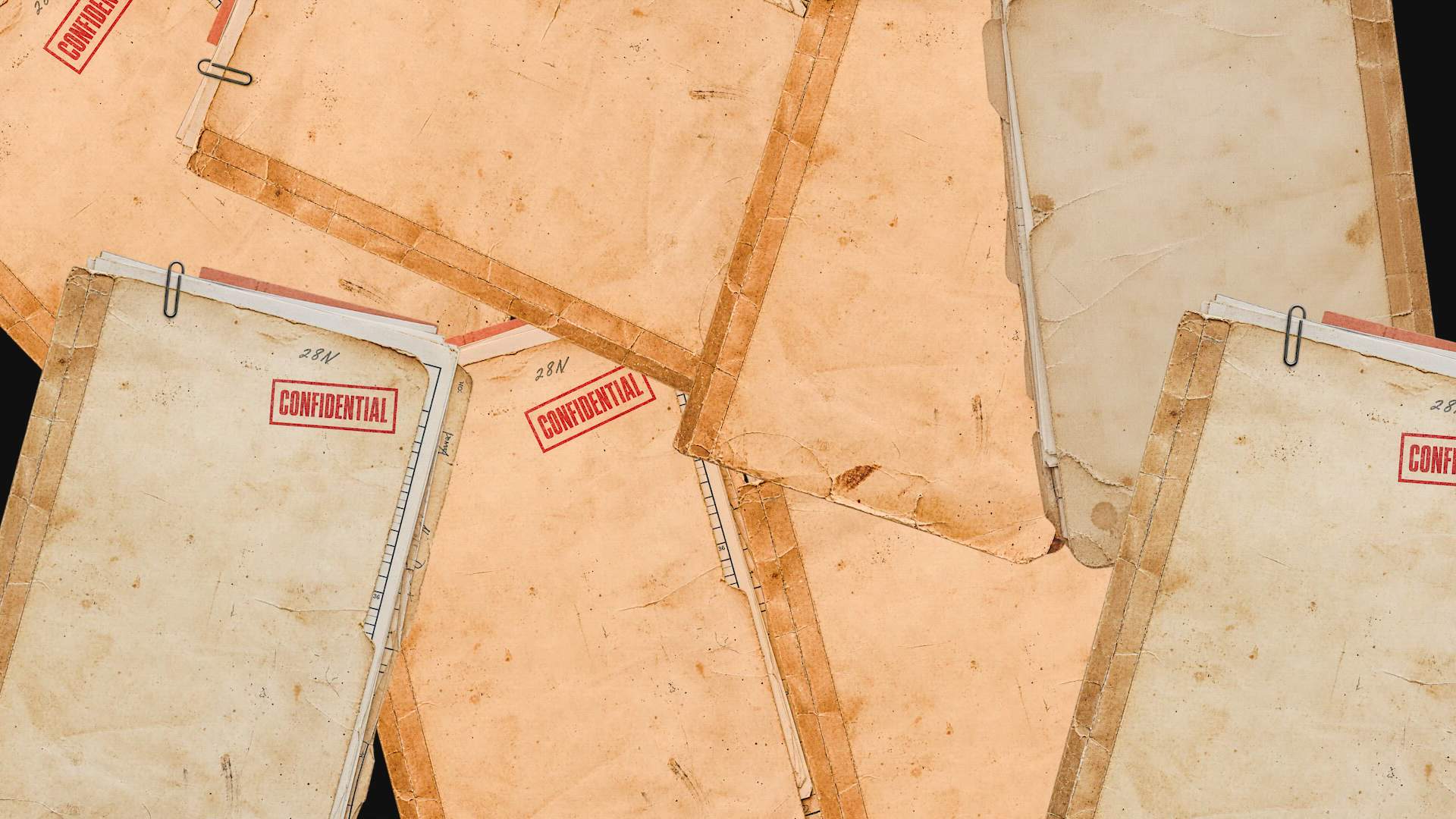 Case Study Video